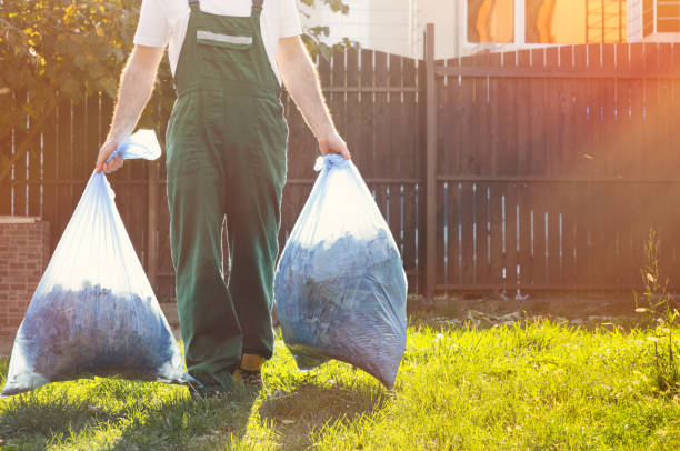 Best Basement Cleanout  in Sherrelwood, CO