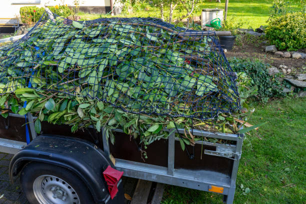 Best Dumpster Rental Services  in Sherrelwood, CO